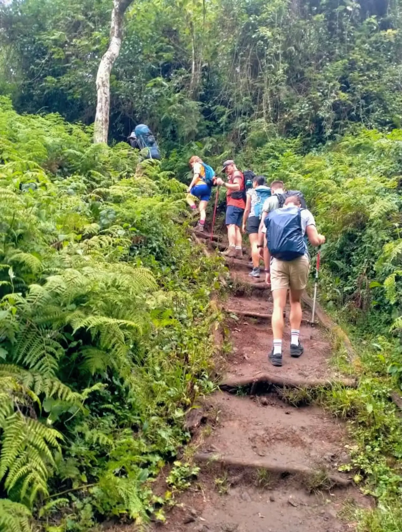 green route of mount kilimanjaro